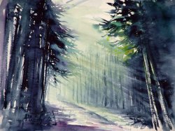 2009-11 wald im licht